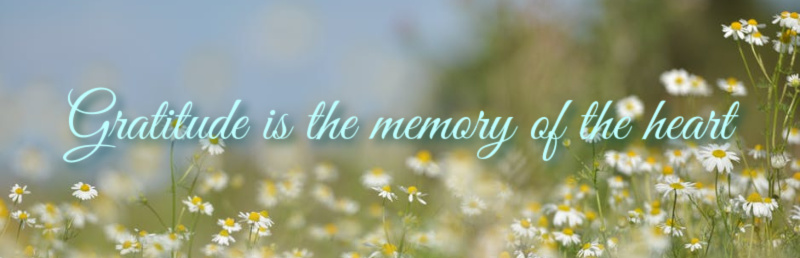 Gratitude memory of heart power of gratitude