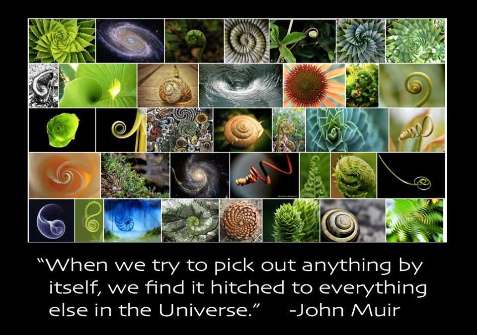 Everything Is Connected and All Is One