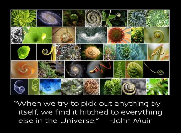 connection everything connected