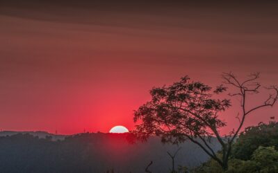 Make Peace With Others