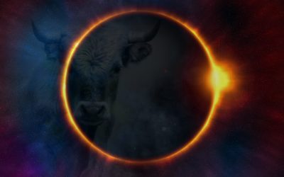 A Day Of Beautiful Opportunity