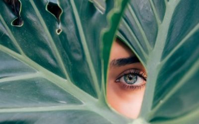 I Only Want To Meet YOU