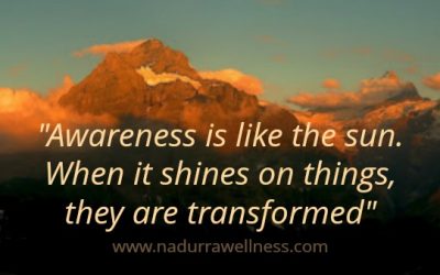 Higher Wisdom, Hidden In Plain Sight