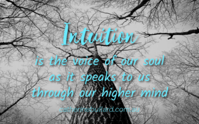 Intuition Is Higher Intelligence