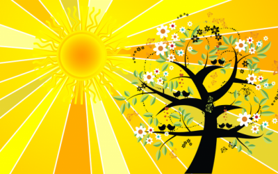 Essential Vitamin D Builds a Strong Immune System