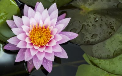 The Problem With The Law Of Attraction & What To Do Instead