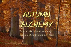 autumn alchemy: Embrace Autumn's Wisdom for Immune Strength and Inner Peace