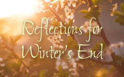 Reflections for the End of Winter