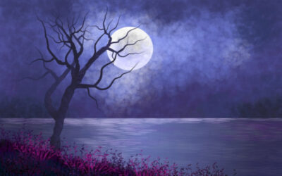 Natural Cycles Of The Moon