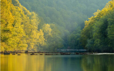Healing Through Nature