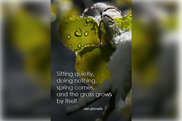 Zen things…