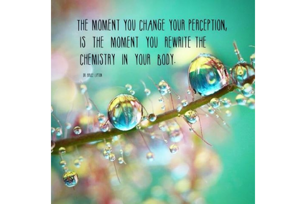 change your perceptions you are not your emotions